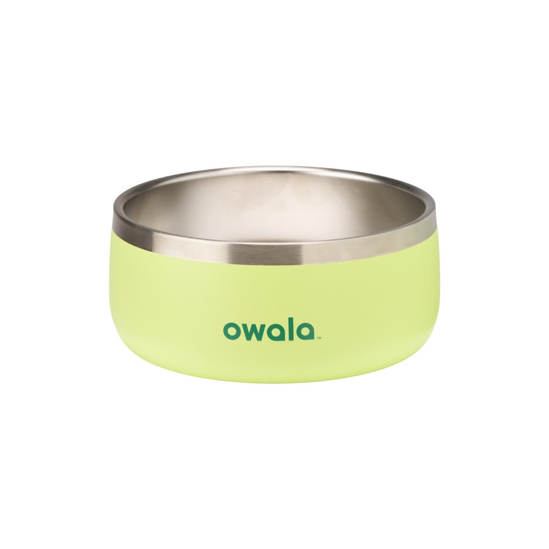 Pet Bowl shv7q z34hg 27fgq p96ry