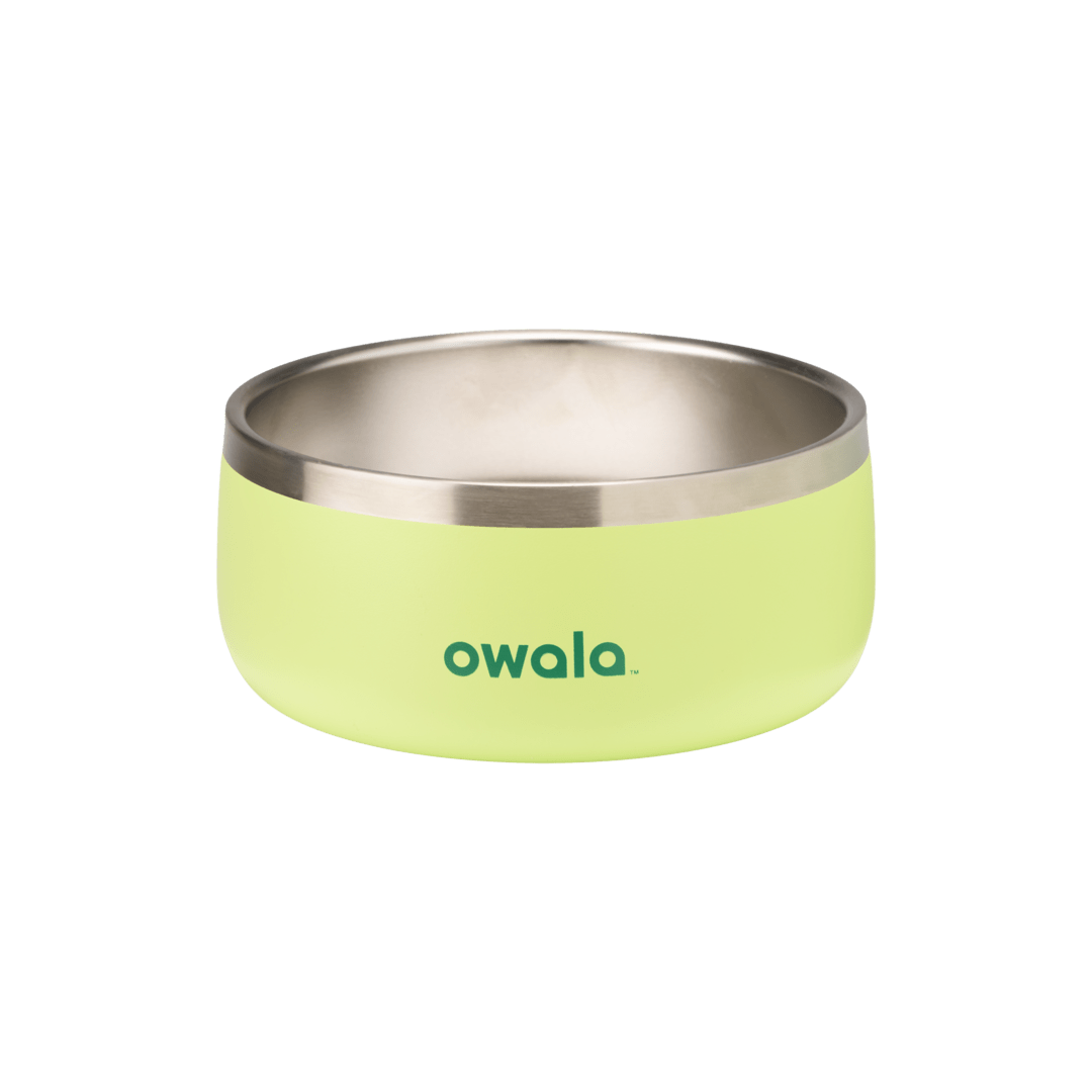 Pet Bowl shv7q z34hg 27fgq