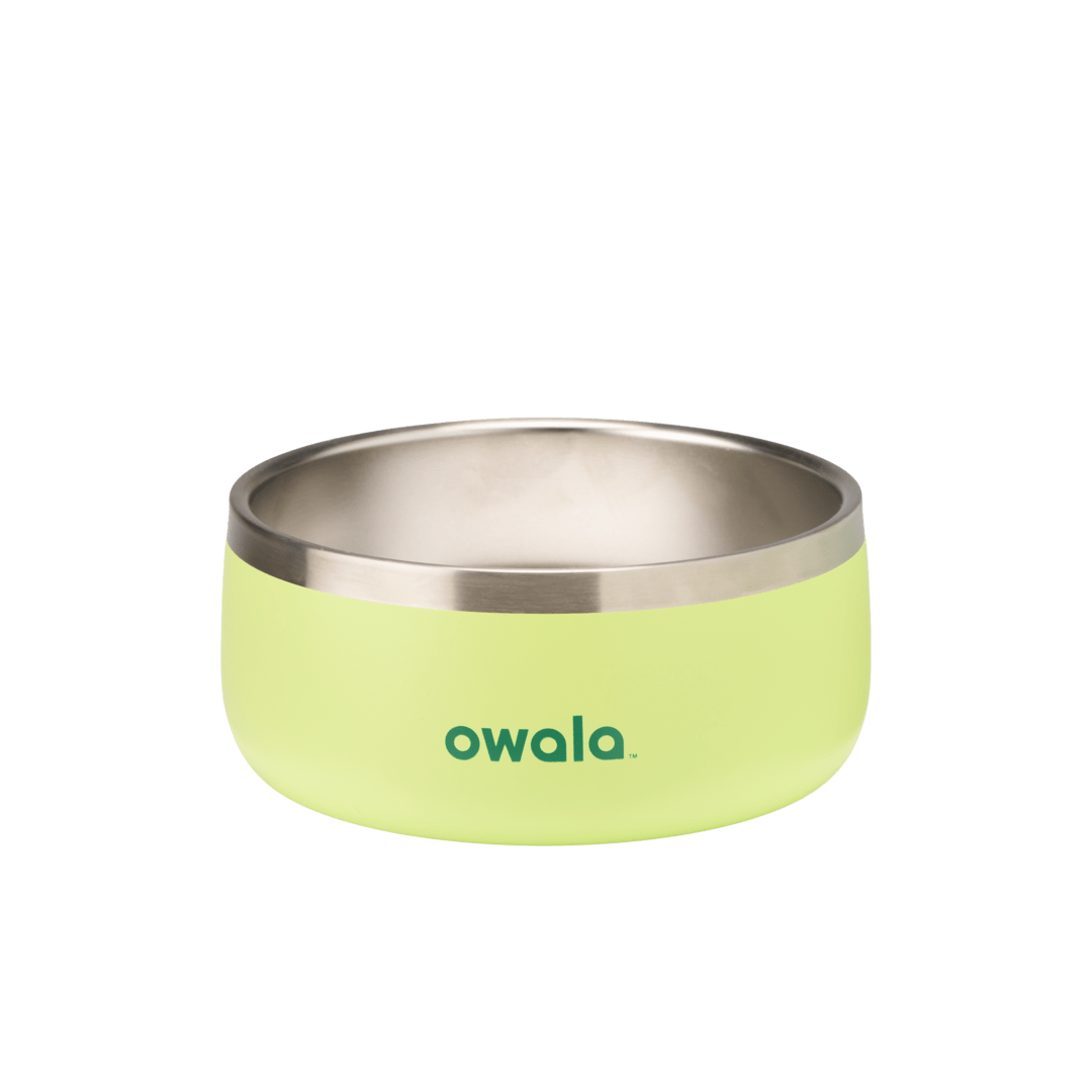 Pet Bowl shv7q z34hg 27fgq p96ry