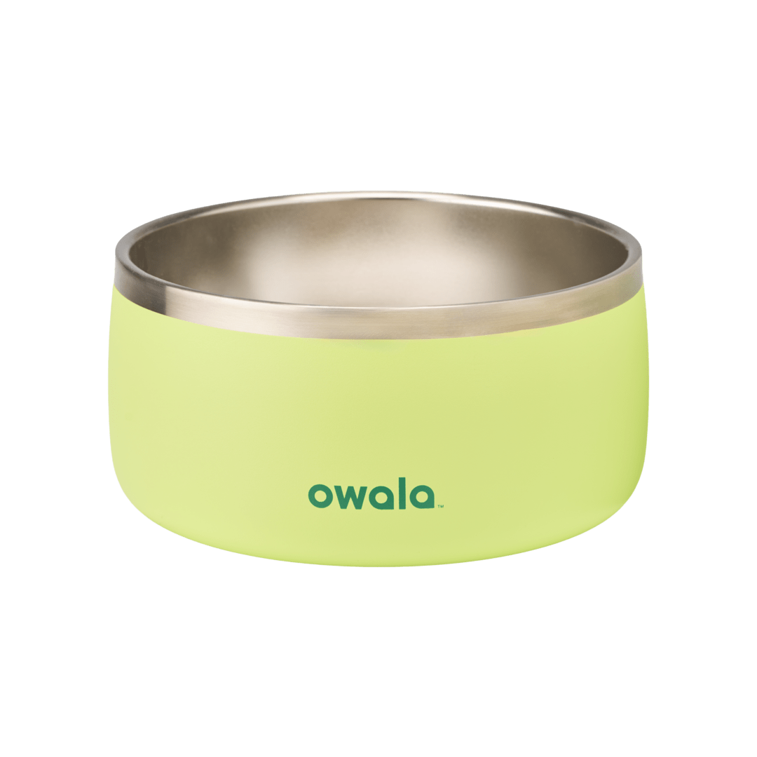 Pet Bowl shv7q z34hg 27fgq