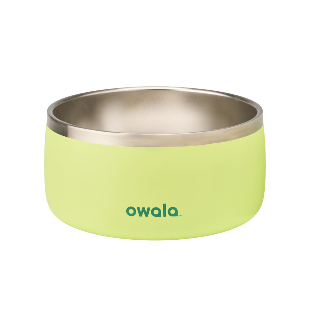Pet Bowl shv7q z34hg 27fgq