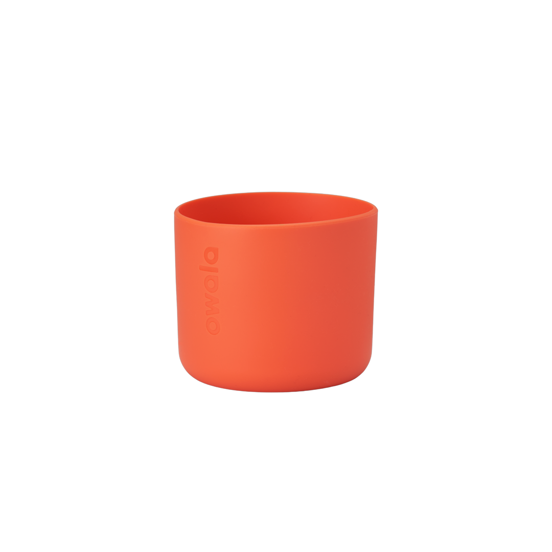 Pet Bowl shv7q z34hg 27fgq
