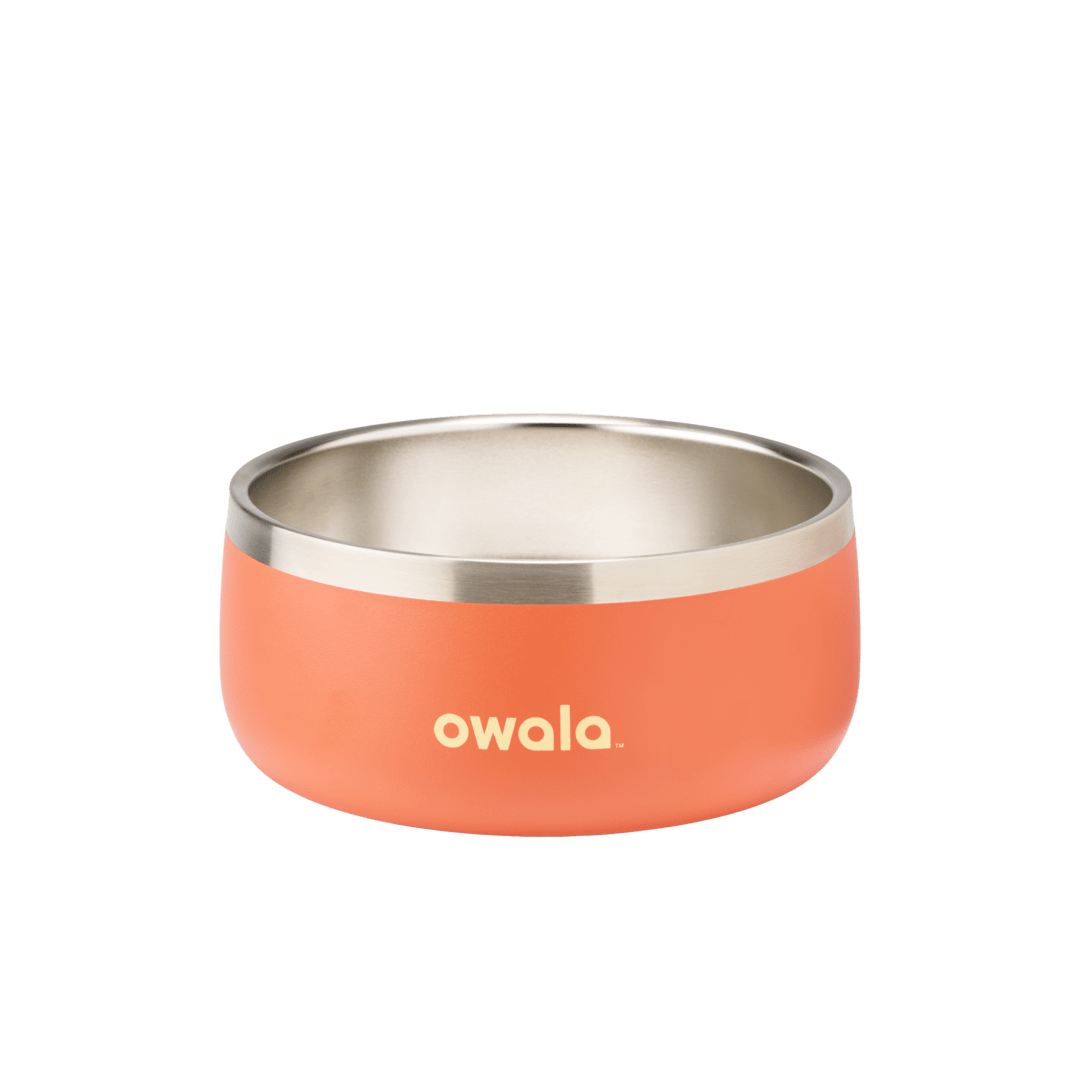 Pet Bowl shv7q z34hg 27fgq