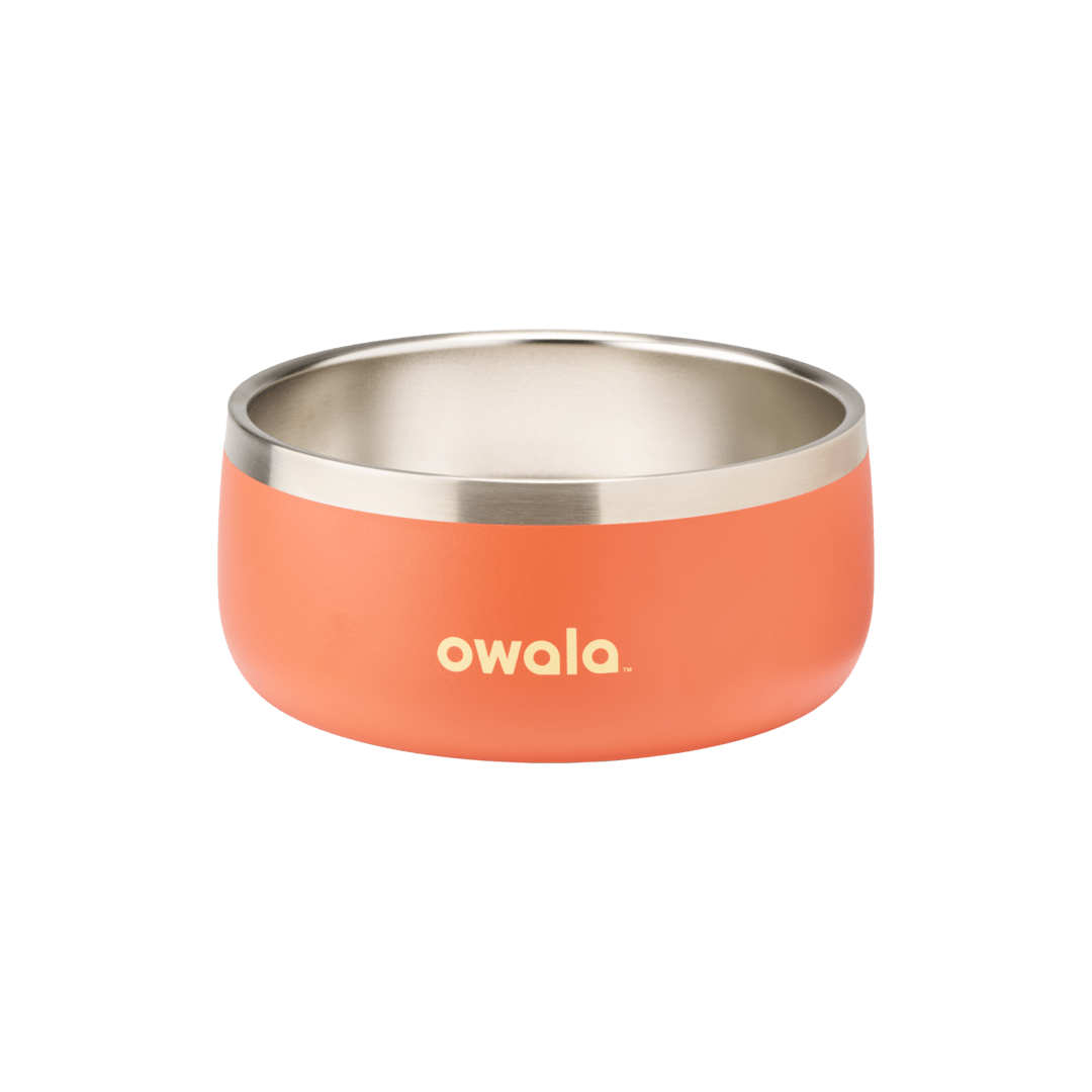 Pet Bowl shv7q z34hg 27fgq p96ry