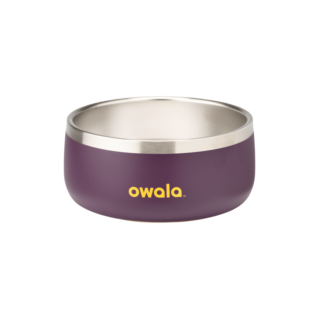 Pet Bowl shv7q z34hg 27fgq
