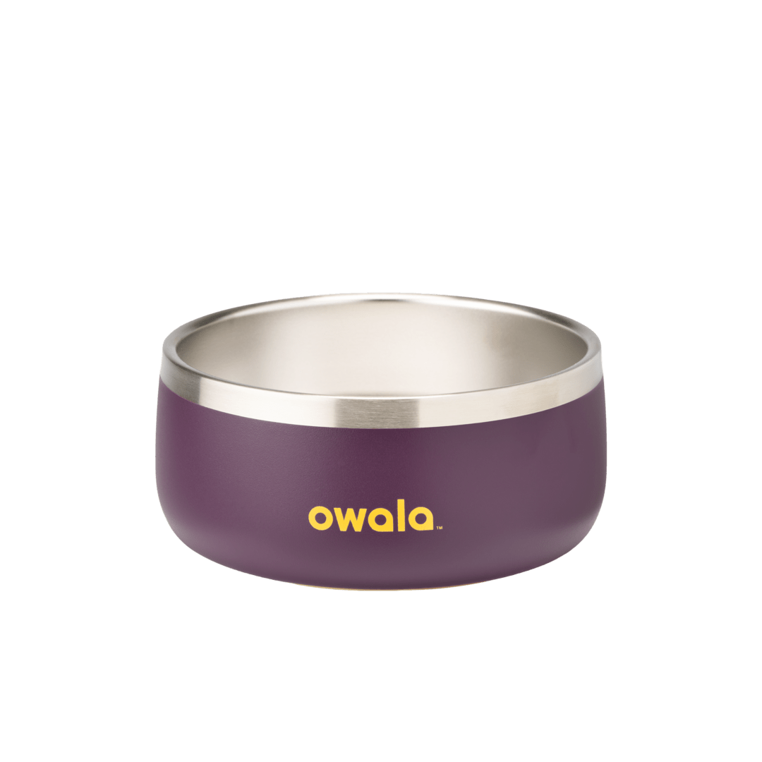 Pet Bowl shv7q z34hg 27fgq