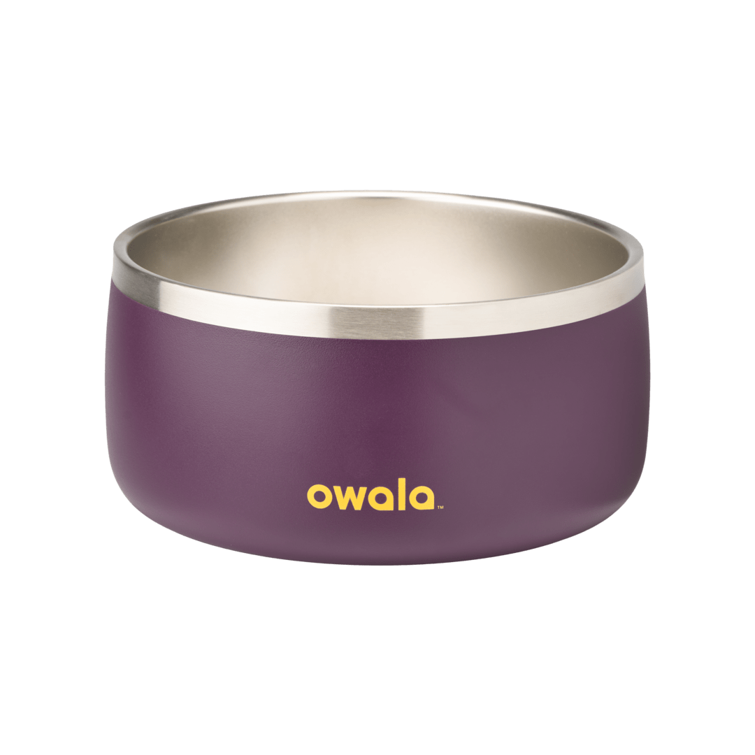 Pet Bowl shv7q z34hg 27fgq