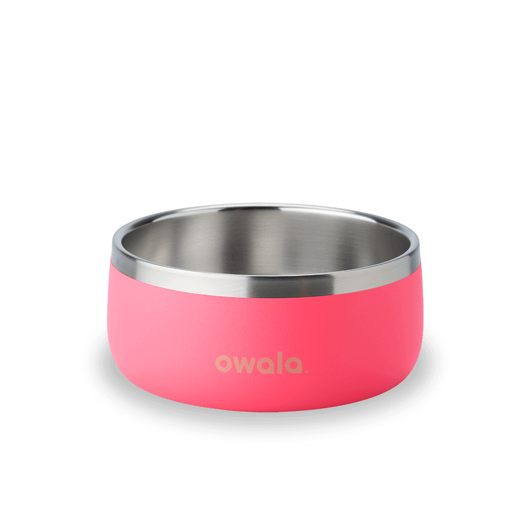 Pet Bowl shv7q z34hg 27fgq