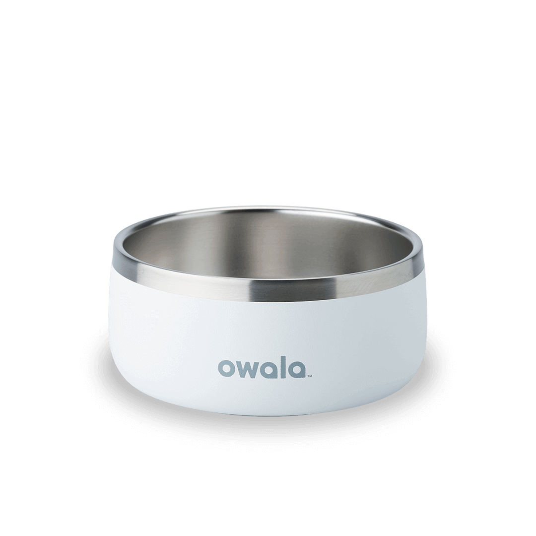 Pet Bowl shv7q z34hg 27fgq p96ry
