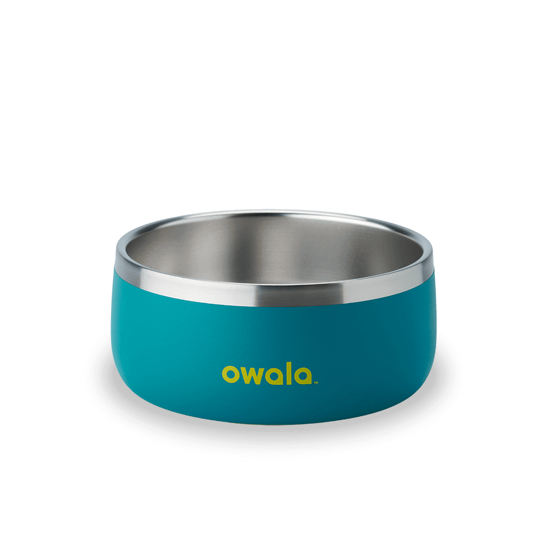 Pet Bowl - Second Set 39 rv6kw f26d8 shbcc