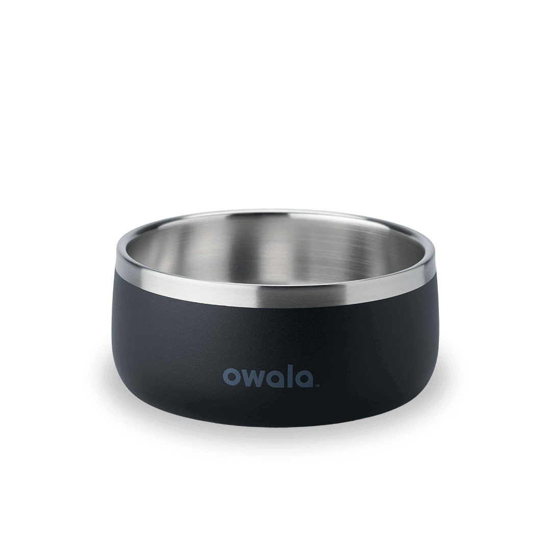 Pet Bowl shv7q z34hg 27fgq p96ry
