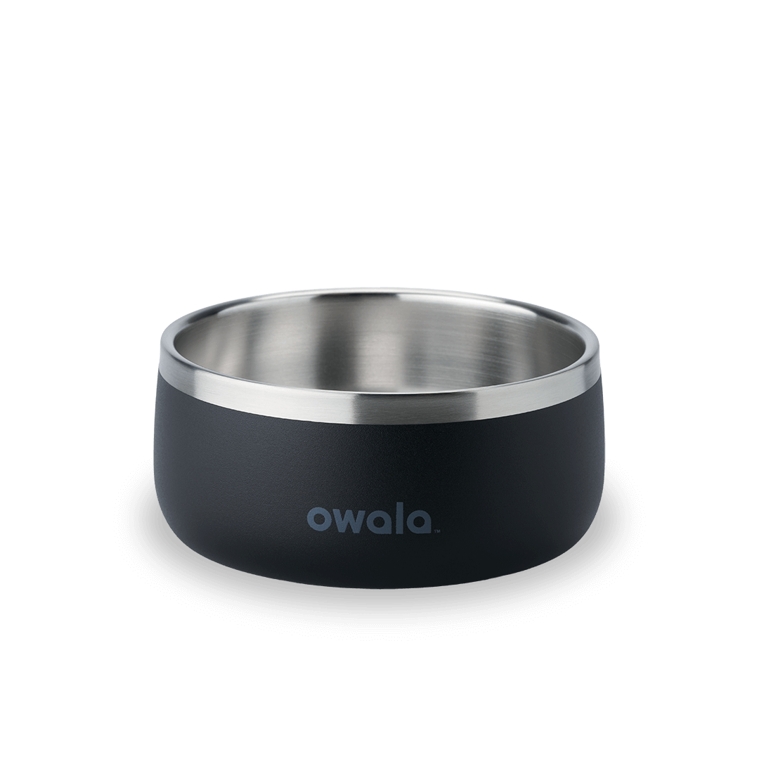 Pet Bowl shv7q z34hg 27fgq