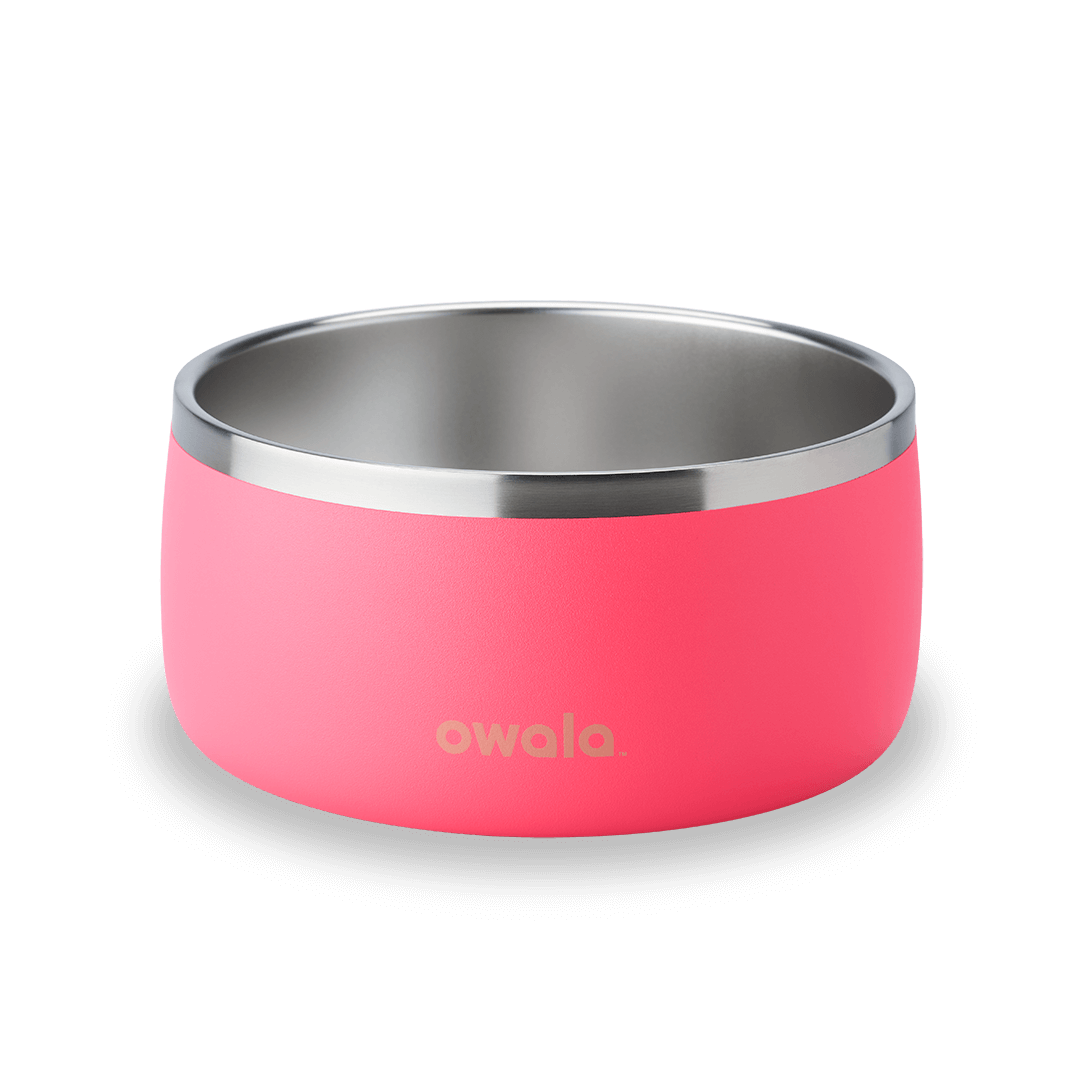 Pet Bowl shv7q z34hg 27fgq