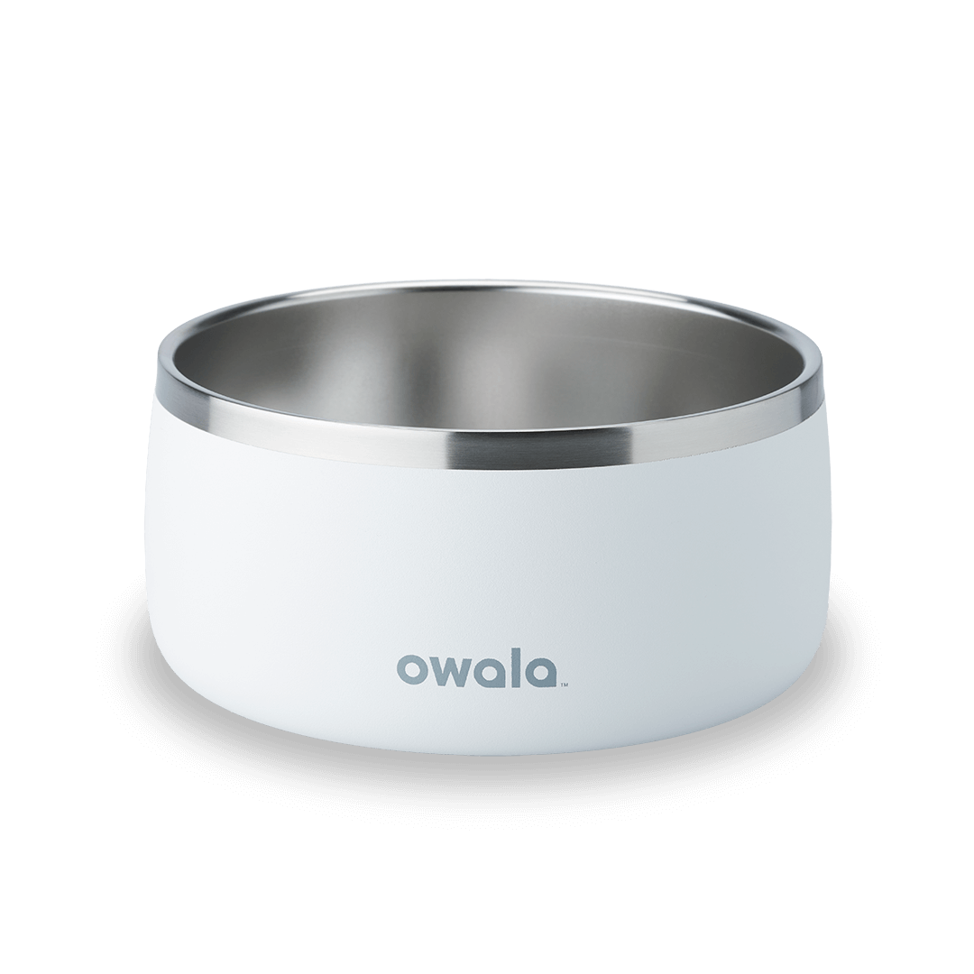 Pet Bowl - Second Set 39 rv6kw f26d8 shbcc