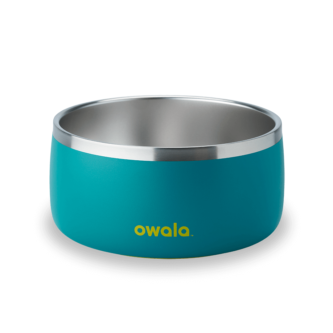 Pet Bowl shv7q z34hg 27fgq