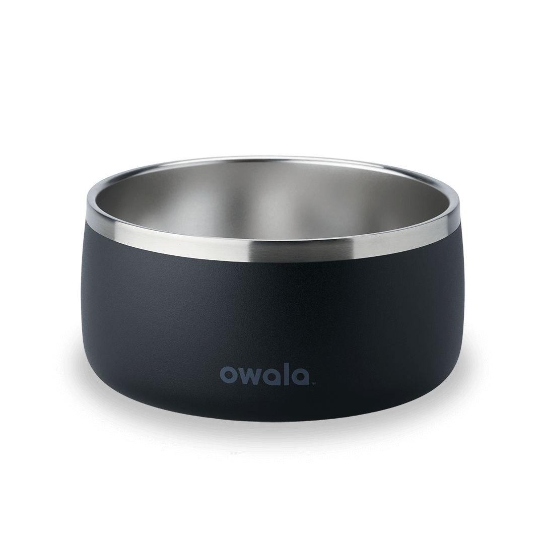 Pet Bowl - Second Set 39 rv6kw f26d8 shbcc